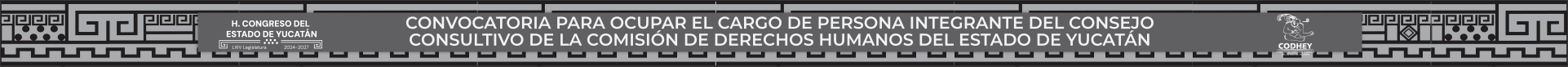 Banner Derechos Humanos